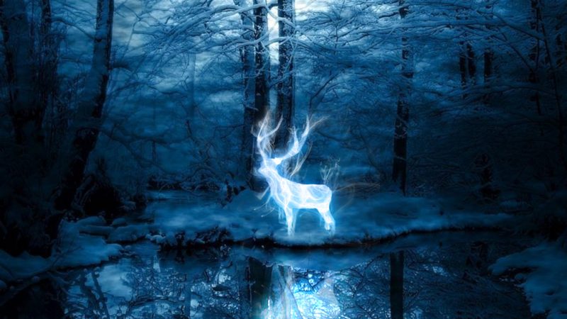 Freestyle – L’Incanto Patronus del rap