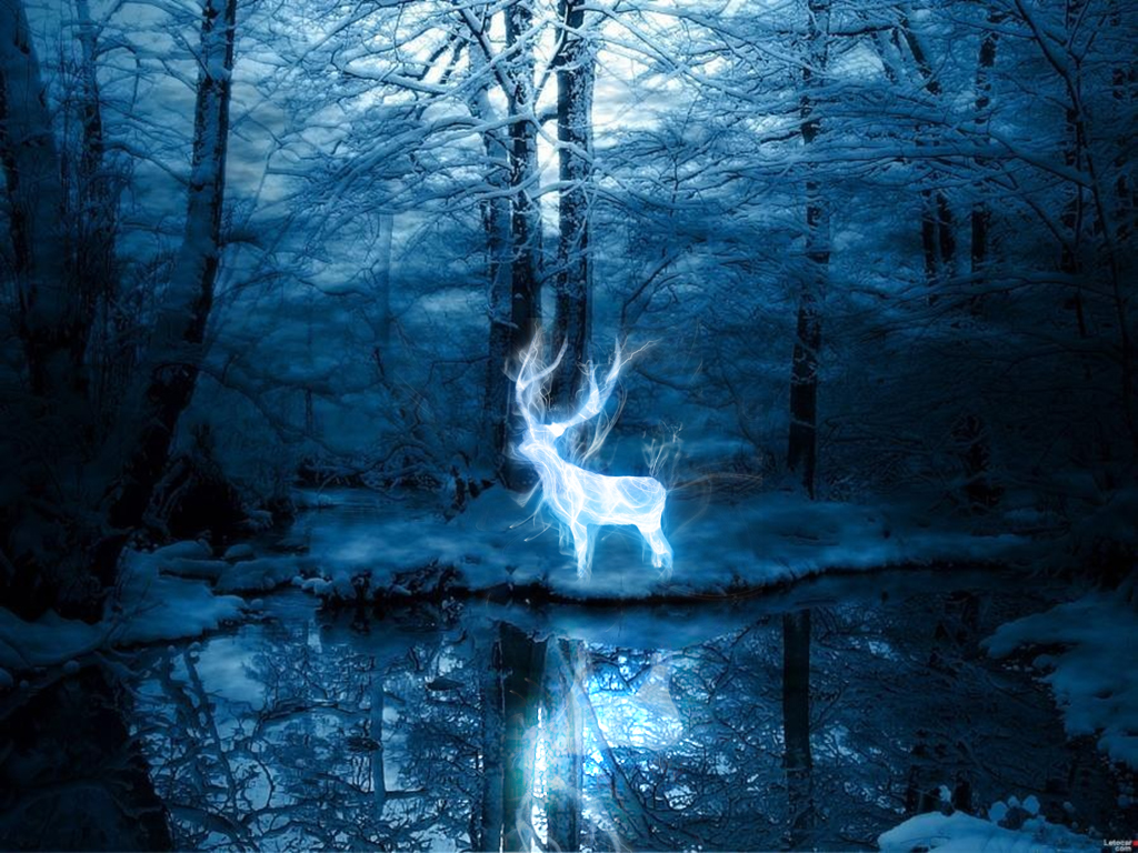 Freestyle – L’Incanto Patronus del rap